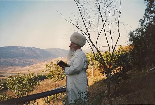 סרטים לדמותו של הרב