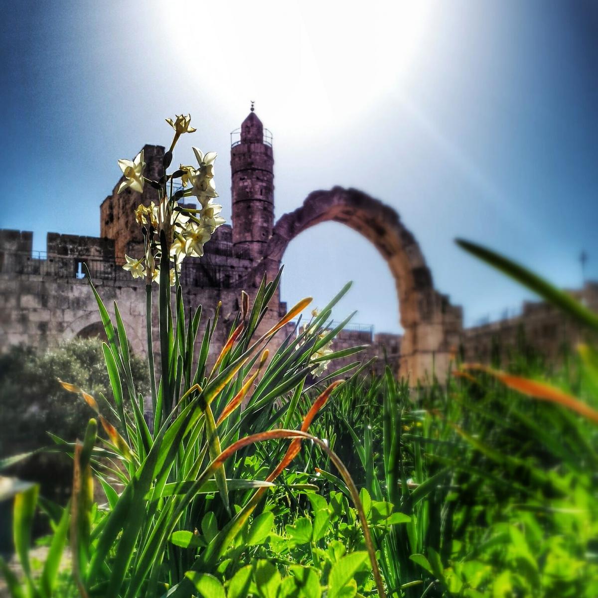 מגדל דוד | המוזיאון לתולדות ירושלים