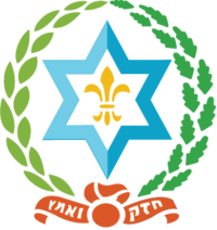 תנועת הנוער השומר הצעיר